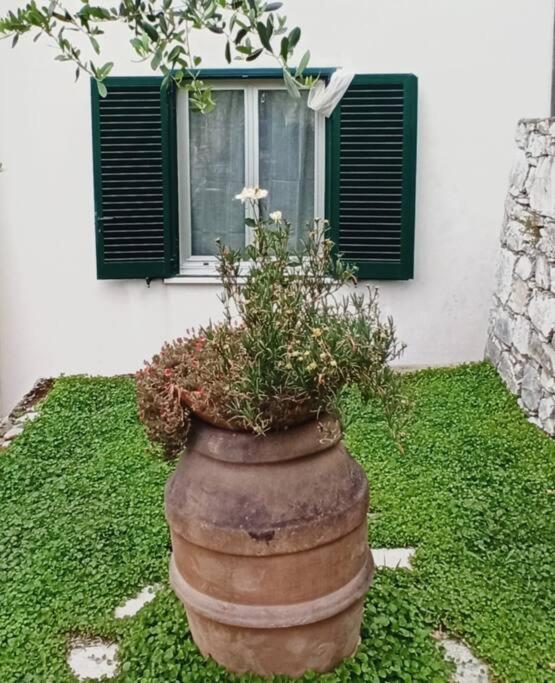 La Piazzetta Di Gra E Baldo Apartment Sestri Levante Luaran gambar